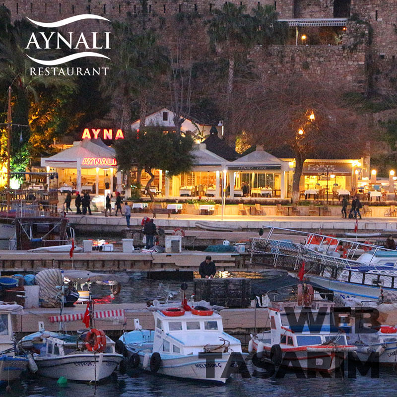 Aynali logosu